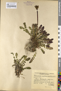 LE 01111538