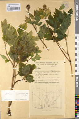 LE 01111570