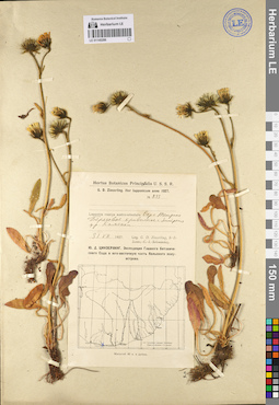 LE 01140286