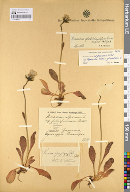 LE 01140328