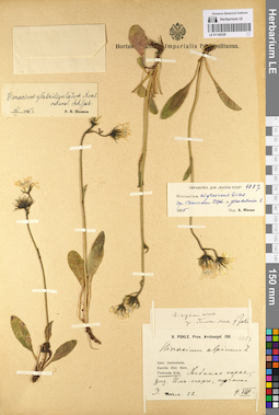 LE 01140329