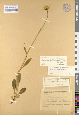 LE 01140390