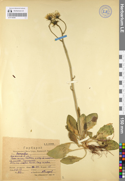 LE 01140394