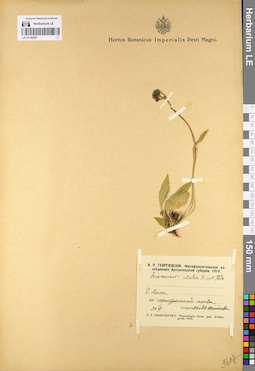 LE 01140397