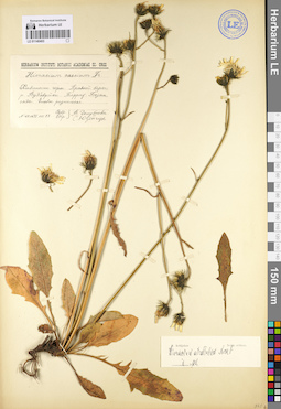 LE 01140403