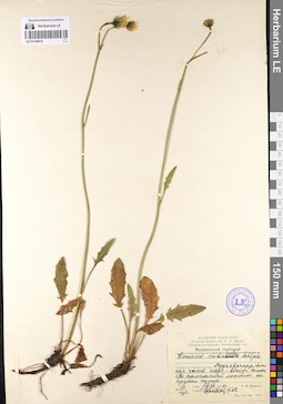 LE 01140414