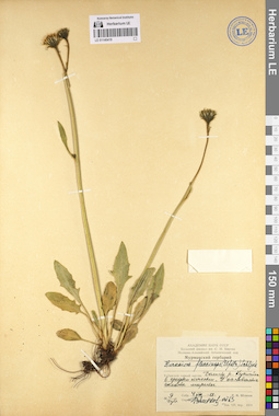 LE 01140419