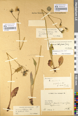 LE 01140436