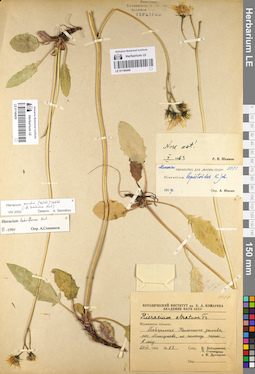 LE 01140440