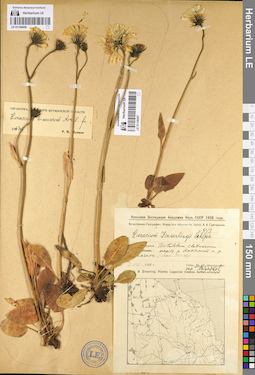 LE 01140457
