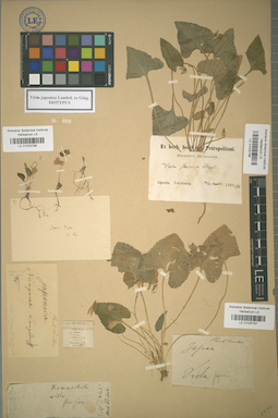 LE 01025797