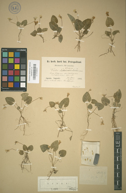 LE 01025812