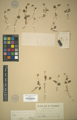 LE 01025813