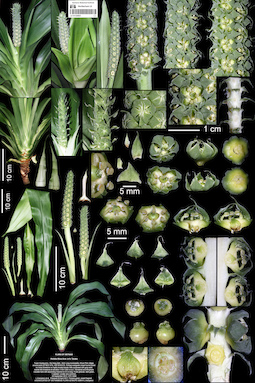 LE 01122823