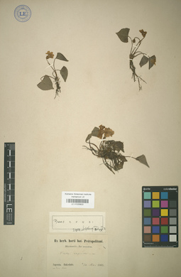 LE 01025822