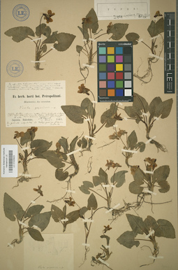 LE 01025823