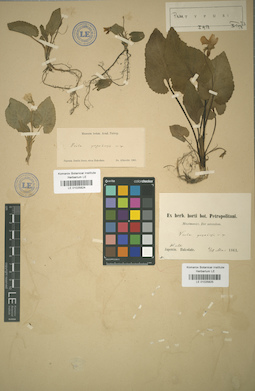 LE 01025824