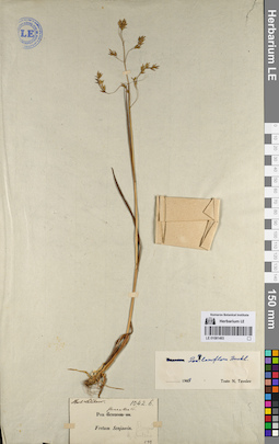 LE 01081493