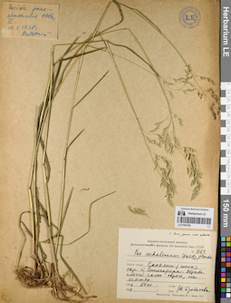 LE 01081502
