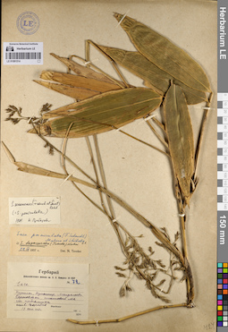 LE 01081514