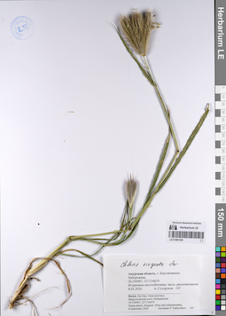 LE 01081539