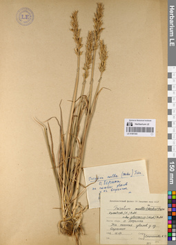 LE 01081543