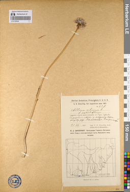 LE 01136144