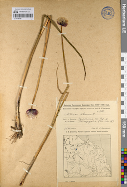 LE 01136159