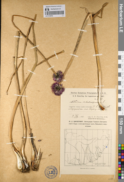 LE 01136192