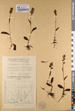 LE 01136509