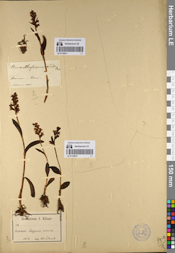 LE 01136511