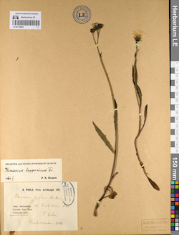 LE 01139665