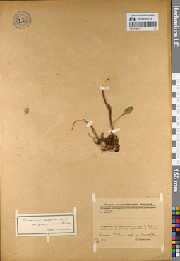 LE 01140175
