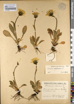 LE 01140193