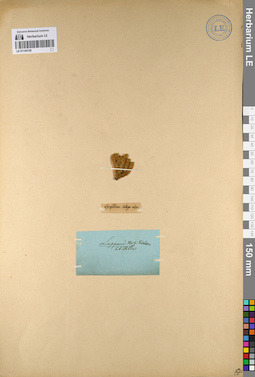 LE 01145120
