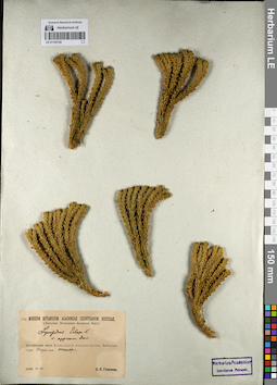 LE 01145139