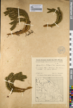 LE 01145141