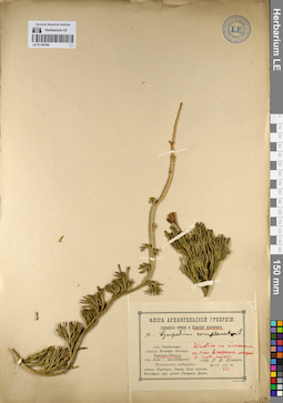 LE 01145194
