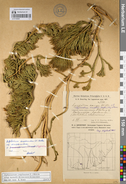 LE 01145245