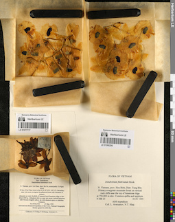 LE 01077117