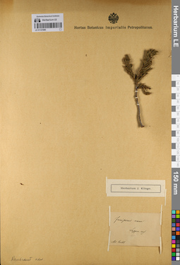 LE 01127486