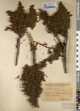 LE 01127495