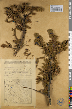 LE 01127500