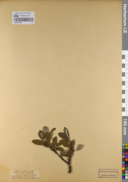 LE 01137184