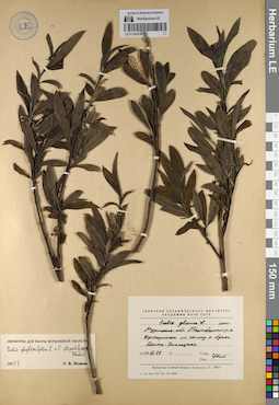 LE 01142378