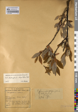 LE 01142390