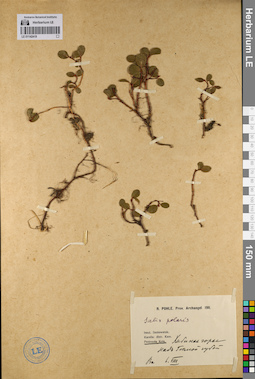 LE 01142419