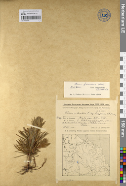 LE 01127318