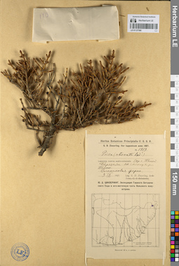 LE 01127390