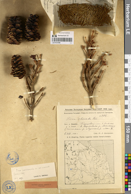 LE 01127408